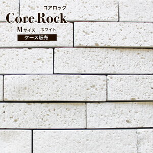 OǓǃZgXg[[΃bWXg[VR΂̊Xg[ΐς݃Zg^C΍ޕǍޕǗp΍ށyRAbNMTCYzCgP[Xi30{j̔zÎߌ݌