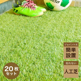 楽天市場 玄関 芝生の通販