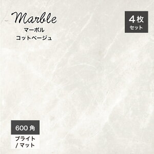 ^C 嗝 }[u͗l Ζږ͗l ^C  ʃ^C |bV ^C 펿   GKX 600×600mm 唻^C VRΒ zeCNy}[{ 600p Rbgx