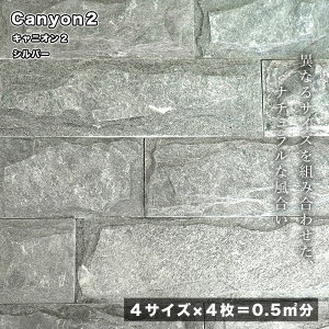 y11/1ISiP10{zǗpXg[^C/ǖʕǍސ΍ޔSVR΃GNXeADIY땻ԏyLjI2P[X̔4TCY16Vo[(56)z