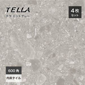 ^C e][^C ^C ^C }bg 600p e][ Xg[ 펿^C 唻^Cye 600p  ~bhO[ P[Xi4j̔z