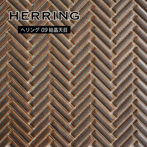 UCN^Cw{[Ǎރ^CJtFXܓFuEVvLb`^CȕǂDIYywO09iVځjV[g̔z