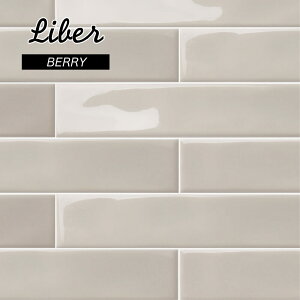 TuEFC^C^C{[_[^Cg^Cx[WǓLb`Tj^[ʂVvJtFCeAdiyy[xx[o̔z