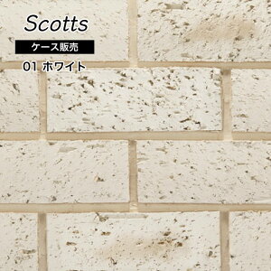 y11/1ISiP10{zK ^C Ǘp ÃK nhCh ubN^C   O  K^C 230x80mmyXRbc01 zCg P[X(22)̔z