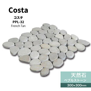 y11/1ISiP10{zVR300pXg[yuΏ΍ޗΕ~Xg[V[glbg][gAWAi`ǍޏށyRX^PPL-32V[g̔z