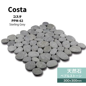 VRΑ嗝300pXg[yuΏ΍ޗΕ~Xg[V[glbg][gAWAi`O[DǍޏށyRX^PPM-62V[g̔z
