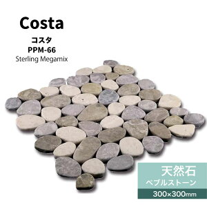 y11/1ISiP10{zVR300pXg[yuΏ΍ޗΕ~Xg[V[glbg][gAWAi`x[W~bNXǍޏށyRX^PPM-66V[g̔z