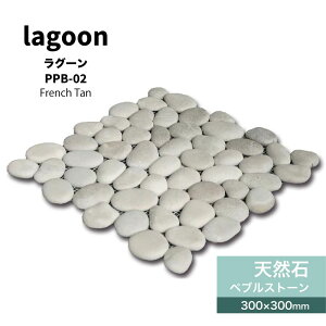 y11/1ISiP10{zVR΃Xg[yuΏ΍ދʐΐΕ~Xg[V[glbg][gAWAi`ꔒzCgǍޏށyO[PPB-02V[g̔z