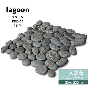 y11/1ISiP10{zVR΃Xg[yuΏ΍ދʐΐΕ~Xg[V[glbg][gAWAi`O[ǍޏށyO[PPB-06V[g̔z