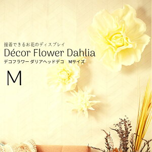 y11/1ISiP10{z tFCN t[ wbh EFJ{[h fR[VyfRt[ _Awbh fRMTCYzsE[J[i