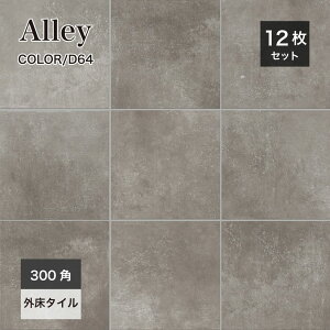 ^C 300p ^C փ^C 300×300mm O^C GNXeA X^CbV  _  펿^CyA[C 300p OD64 P[X(12)̔z