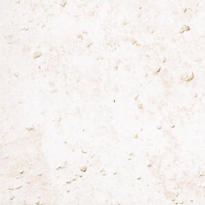 y11/1ISiP10{z^C 594×294mm փ^C  Ε 펿^C J \ac a VR Z {Y Obv O^C h@\y 600×300p S5F P[X(7)̔