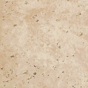 ^C 594×294mm փ^C  Ε 펿^C J \ac a VR Z {Y Obv O^C h@\y 600×300p S5F P[X(7)̔z