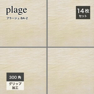 y101ISiP10{z300p ^C 펿 ^C O փ^C Av[` O\ GNXeA Obv ~ Εi` Ζ͗lx[Wyv[W BA-2300pP[X(14