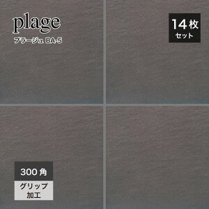 300p ^C 펿 ^C O փ^C Av[` O\ GNXeA Obv ~ Εi` Ζ͗lubNyv[W BA-5300pP[X(14)̔z