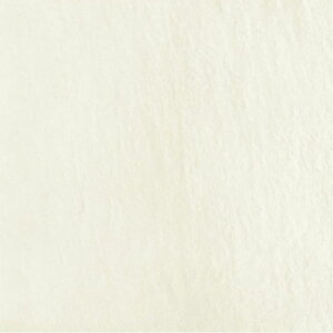 300p ^C 펿 ^C O փ^C Av[` O\ GNXeA Obv ~ Εi` Ζ͗lyv[W 300p S6F P[X(14)̔z