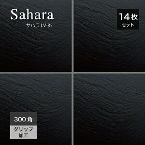 ^C 294×294mm ^C փAv[` O\ GNXeA O O Obv ⒲ Ε փ^C   ubNyTn LV-85 300p P[X(14)̔z