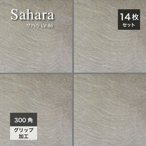 ^C 294×294mm ^C փAv[` O\ GNXeA O O Obv ⒲ Ε փ^C   O[yTn LV-86 300p P[X(14)̔z