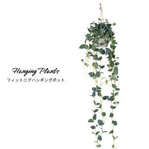 tFCNO[ ݂艺 nMO  ϗtA  Lb`ytBbgjAnMOzsE[J[i