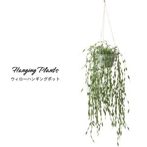 tFCNO[ lHϗt A Ǌ| ݂艺 nMO Lb` i`yEB[nMO |bgzsE[J[i