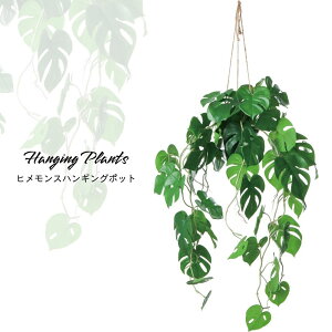 y11/1ISiP10{ztFCNO[  ݂艺 Ǌ| CeA ϗtA fBXvC A[eBtBVyqX nMO |bgzsE[J[i