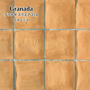 eRb^fĂnhCh^C^Cփ^CAv[`DIY215×215mm쉢][gށyOi_XNGA215pS2FP[Xi10j̔z