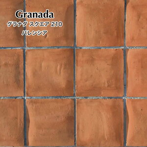 y11/1ISiP10{zeRb^fĂnhCh^C^Cփ^CAv[`DIY215×215mm쉢][gށyOi_XNGA215pS2FP[Xi10j̔z