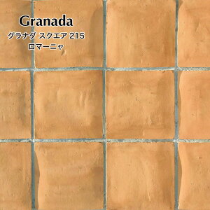 y11/1ISiP10{zeRb^fĂnhCh^C^Cփ^CAv[`DIY215×215mm쉢][gށyOi_XNGA215p }[j P[Xi10j̔z