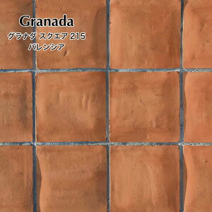 y11/1ISiP10{zeRb^fĂnhCh^C^Cփ^CAv[`DIY215×215mm쉢][gށyOi_XNGA215p oVA P[Xi10j̔z