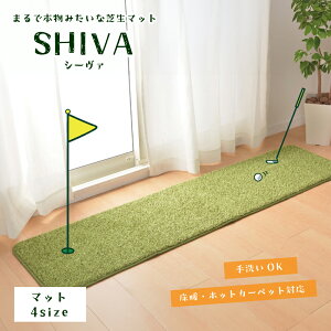 y11/1ISiP10{zlH ~ }bg  TbJ[ St K Ő ӂ 􂦂 J[ybgyV[@ Ő}bg 4TCYzsE[J[i