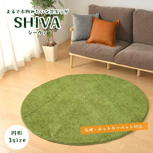 y11/1ISiP10{zlH ~ }bg  TbJ[ St K Ő ӂ 􂦂 J[ybgyV[@ ŐO  3TCYzsE[J[i