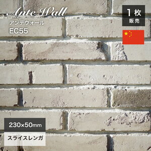 XCXK 240×50mm zCg K Ǘp diy AeB[NK K  Ǘp  ubNyAeEH[ EC55 1̔z