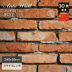 K Ǘp XCXK AeB[NK re[WK K^C ԗ ubN ubN^C ԃKyAeEH[ EC11 P[X(30)̔z