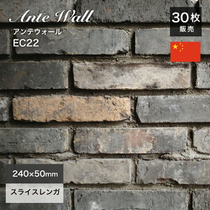 K Ǘp XCXK AeB[NK re[WK K^C  ubN ubN^C KyAeEH[ EC22 P[Xi30j̔z