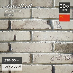 K Ǘp XCXK AeB[NK re[WK K^C  ubN ubN^C zCgyAeEH[ EC55 P[Xi30j̔z