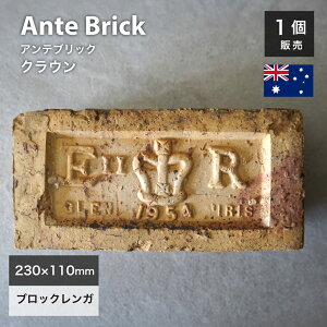 AeB[NK 󃌃K × LOK GUxX2 E2R ՊLO  CMX p 230×110×72mm  CG[ S[h K[fjO ~ Ԓd  Mtg 蕨yAeu