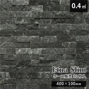 VR {[_[ Ε Β ΍ Xg[ ΂̕  O O\ Ǘp dグ Ǎ  ubN    bWXg[ O\ GNXeA 和  ubN Ε SS-CGyGg