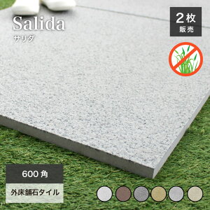 雑草対策 舗石タイル 厚物タイル 重歩行対応 大理石調 屋外タイル【サリダ 600角 全色ケース(2枚入)販売】