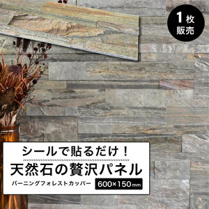 ^CV[ VR ǎ CNV[g ǃpl ^Cpl EI[pl Ε V[g ^CXebJ[ zeCNyCgXg[EH[ V[^Cv o[jOtHX