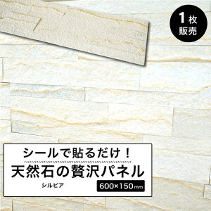 ySSԌIN[|zzzVR V[g ^CV[ EH[pl ǐ ^Cpl Ε 600×150mm Β pl  ǎ ΍ Ǘp  DIY Xg[ yʁyCgXg[E