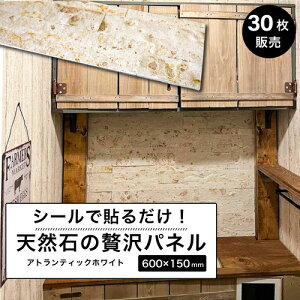 VR V[g ^CV[ EH[pl ǐ ^Cpl Ε 600×150mm Β pl  ǎ ΍  DIY Xg[ yʁyCgXg[EH[ V[^Cv AgeBbN