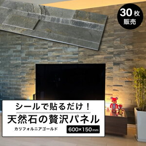 y12/1ISi|Cg10{zΕ ^CV[ Β VR V[ EH[pl ǃpl zeCN  600×150mm ǎ ΍ Ǘp  DIY Xg[ yʁyCgXg[EH[