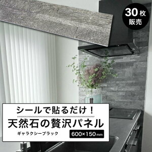 VR V[g ^CV[ EH[pl ǐ ^Cpl Ε 600×150mm Β pl  ǎ ΍ Ǘp  DIY Xg[ yʁyCgXg[EH[ V[^Cv MNV