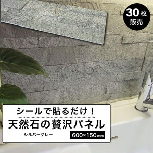 石壁 タイルシール 石張り 天然石 シール ウォールパネル 壁パネル ホテルライク 立体 600×150mm 壁紙 石材 壁用 内装 DIY ストーン 軽量【ライトストーンウォール シールタイプ シルバーグレー