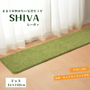 y11/1ISiP10{zlH ~ }bg  TbJ[ St K Ő ӂ 􂦂 J[ybgyV[@ Ő}bg 45-240cmzsE[J[i