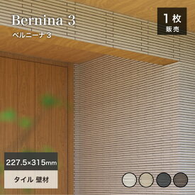 タイル ボーダータイル 外壁 屋外 外装 新築 リフォーム 壁材 割肌 テッセラ おしゃれ モダン シンプル 壁 DIY【ベルニーナ3 全4色 シート販売】
