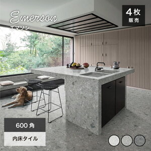 ySSԌIN[|zzze][^C 600p ^C  tA^C }bg e][ Xg[ O[/ubN  Vv _ 펿^C 唻^CyG}