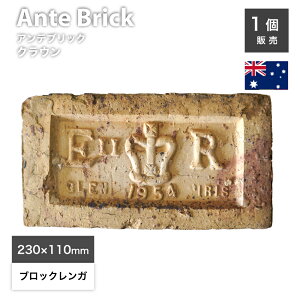 AeB[NK 󃌃K × LOK GUxX2 E2R ՊLO  CMX p 230×110×72mm  CG[ S[h K[fjO ~ Ԓd  Mtg 蕨yAeu