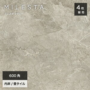 y11/1ISiP10{z^C 嗝 VR Xg[ Ζږ͗l ^C 펿    GKX D  _ 唻^C zeCNy~X^ 600p O[  P[