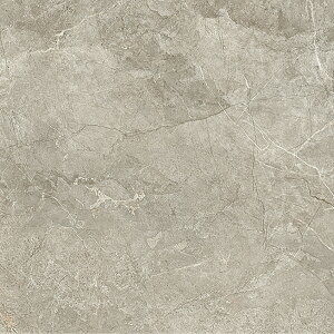 ^C 嗝 VR Xg[ Ζږ͗l ^C 펿    GKX x[W/O[  _ 唻^C zeCNy~X^ 600p S4F  P[X(4)